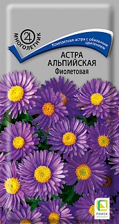 Астра альпийская Фиолетовая, 0,04 г