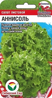 Салат Аннисоль, 10 шт. Сибирский сад.