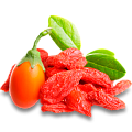 Годжи