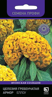 Целозия гребенчатая Армор Еллоу, 15 шт. Семена профи