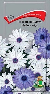 Остеоспермум Небо и лед, 0,1 г