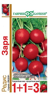 Редис Заря, 5 г. 1+1