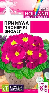 Примула Пионер Виолет, 5 шт. (Голландские семена)