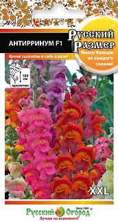 Антирринум F1 Русский Размер смесь, 15 шт. Русский огород