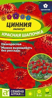 Цинния лилипут Красная шапочка, 0,2 г 