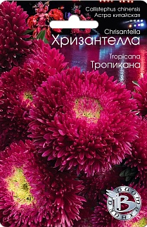 Астра китайская Хризантелла Тропикана, 30 шт. Биотехника