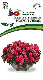 Бальзамин F1 махровый Корал Лейс, 5 шт.