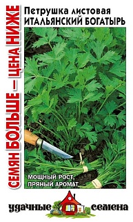 Петрушка Итальянский богатырь, 4 г. Удачные семена.