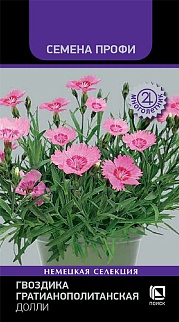 Гвоздика гратианополитанская Долли, 7 шт. Семена Профи