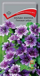 Мальва зебрина Лиловая зебра, 0,02 г