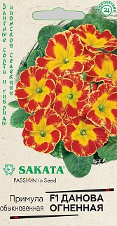 Примула Данова огненная F1, грунтовая, 5 шт. Саката.