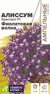 Алиссум Кристалл Фиолетовая Волна F1, 0,01 г. Ампельные шедевры
