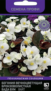 Бегония вечноцветущая бронзоволистная Бада Бум Вайт, 15 шт. Семена профи