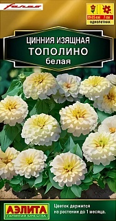 Цинния Тополино белая, 12 шт.