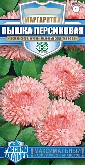 Маргаритка Пышка Персиковая, 5шт. Русский богатырь.