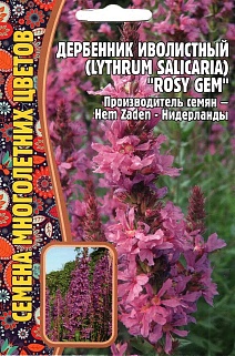 Дербенник Иволистный Rosy Gem, 0,05 г