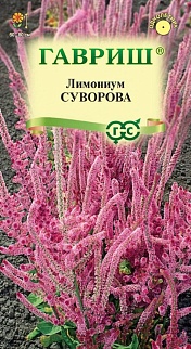 Лимониум Суворова розовый, 0,01 г