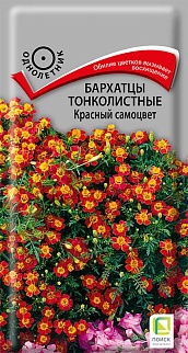 Бархатцы тонколистные Красный самоцвет, 0,1 г