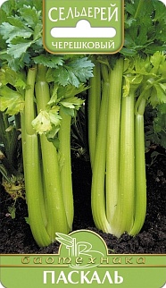 Сельдерей черешковый Паскаль, 0,5 г. Биотехника.