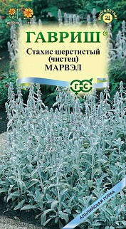 Стахис шерстистый Марвэл, 0,05 г. Альпийская горка.