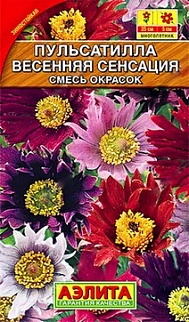 Пульсатилла Весенняя сенсация, смесь сортов, 10 шт.