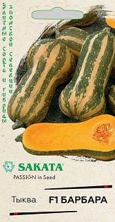 Тыква F1 Барбара, 5 шт. Саката.