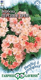 Вербена Персик и Крем, 0,05 г. Устойчив к заморозкам.
