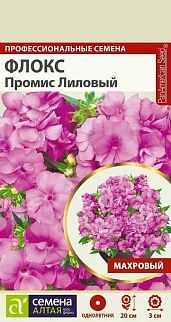 Флокс махровый Промис, лиловый, 5шт. 