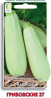 Кабачок Грибовский 37, 12 шт.