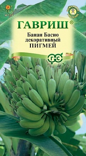 Банан (Басио) декоративный Пигмей, 3 шт.