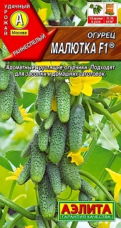 Огурец Малютка F1, 10 шт.