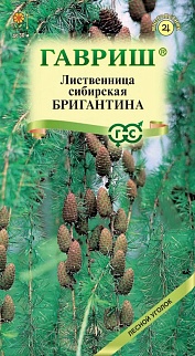 Лиственница сибирская Бригантина, 0,2 г 