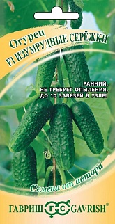 Огурец Изумрудные сережки F1, 10 шт. Корнишон. Авторские семена. 