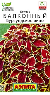 Колеус балконный Бургундское вино, 5 шт.