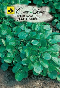 Кресс-салат Данский, 5 г