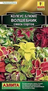 Колеус блюме Волшебник, смесь сортов, 5 шт. 