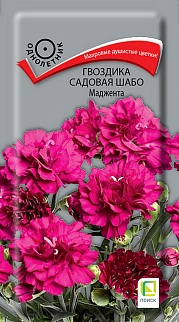 Гвоздика садовая Шабо Маджента, 0,1 г