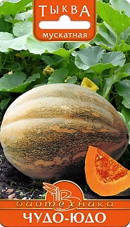 Тыква Чудо-Юдо, 6 шт. Биотехника