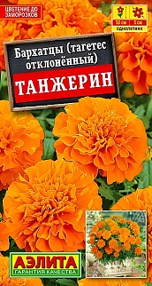 Бархатцы Танжерин обильноцветущие, 0,3 г