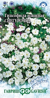 Гипсофила изящная Снегурочка, 0,1 г. Устойчив к заморозкам.