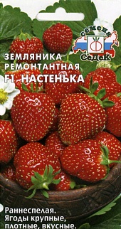 Земляника Настенька F1, ремонтантная, 15 шт.