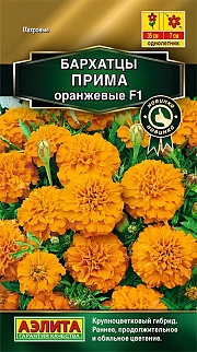 Бархатцы Прима F1, оранжевые, отклоненные, 10 шт. 