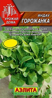 Индау (руккола) Горожанка, 0,3 г