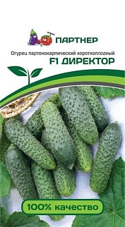 Огурец Директор F1, 5 шт. Агрофирма Партнер.