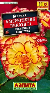 Бегония Америгибрид Пикоти F1 солнечная вспышка, 5 шт. 