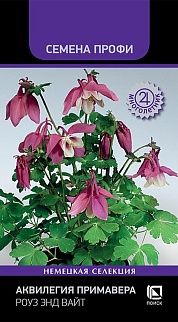 Аквилегия Примавера Роуз энд вайт,  5 шт. Семена Профи