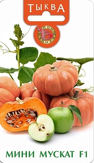 Тыква Мини Мускат, 5 шт. Биотехника