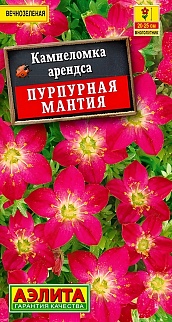 Камнеломка Пурпурная мантия, 0,02 г