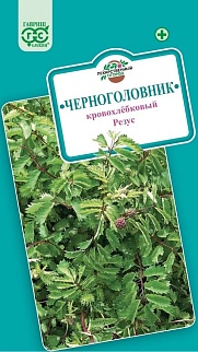 Черноголовник кровохлебковый Резус, 0,5 г. Лекарственная.