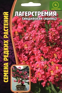 Сирень Лагерстремия Индийская, 15 шт.